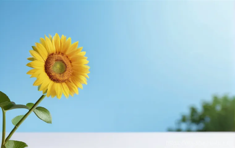 스타트업 마케팅 성장 전략 관련 이미지 1